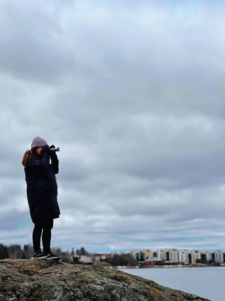 toiveita uudelle vuodelle