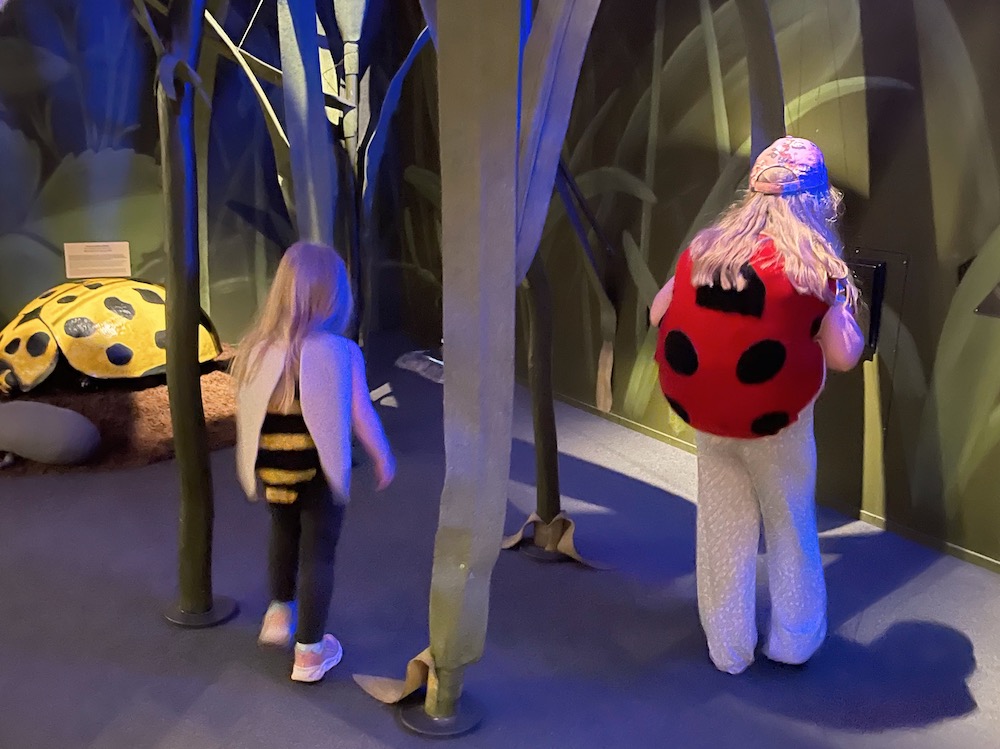 päiväretki helsinkiin lasten kanssa