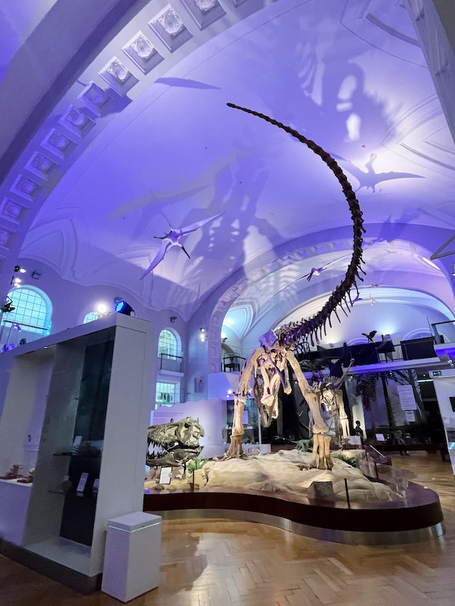 luomus lasten kanssa