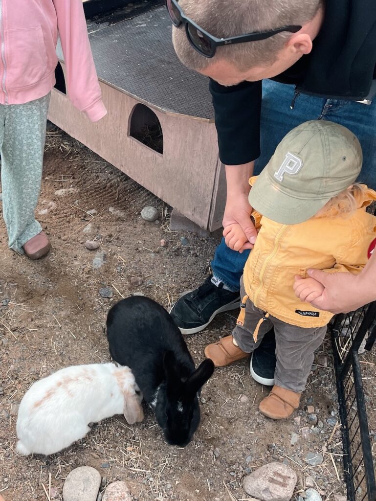 Hippilande Nurmijärvi puput