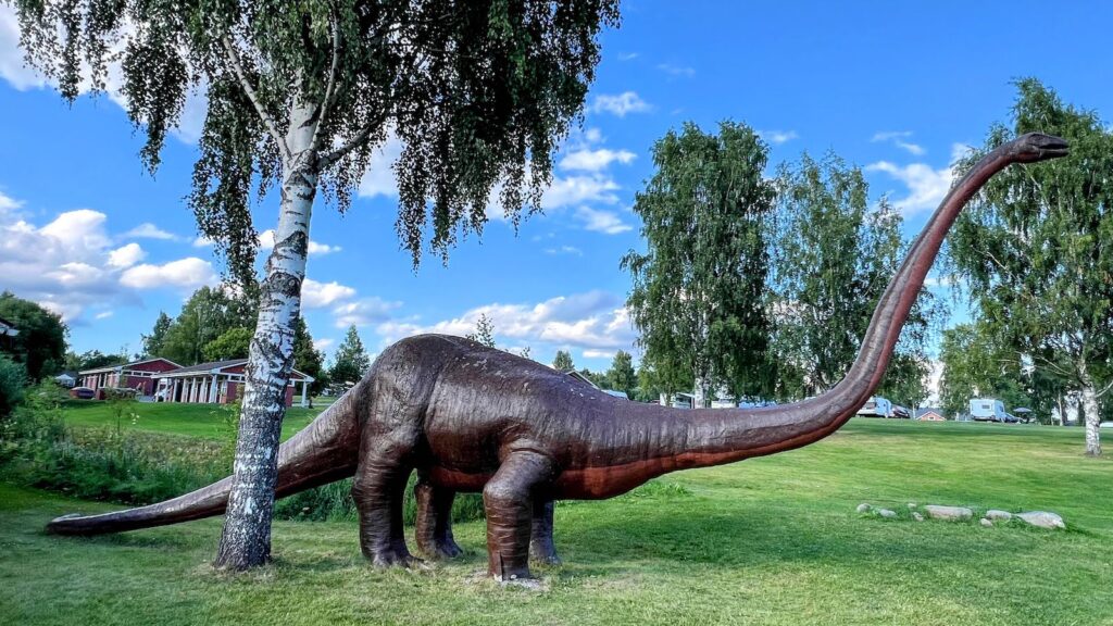 Visulahti Mikkeli kokemuksia 2024