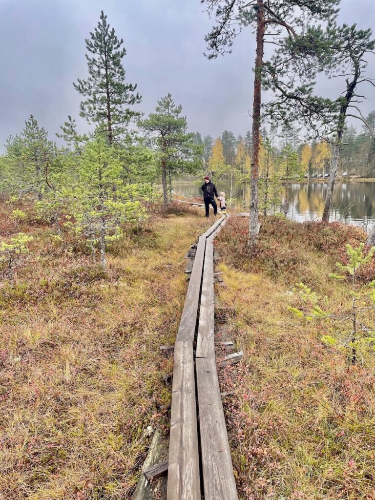 Perheiden tukien leikkaus