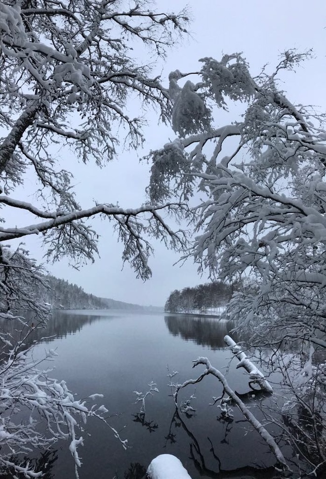 uuden vuoden toiveita